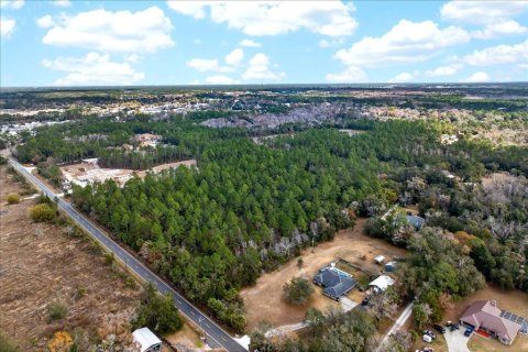 Terreno en venta en Bunnell, Florida № 2109044 - foto 16