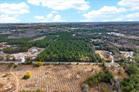 Terreno en venta en Bunnell, Florida № 2109044 - foto 13