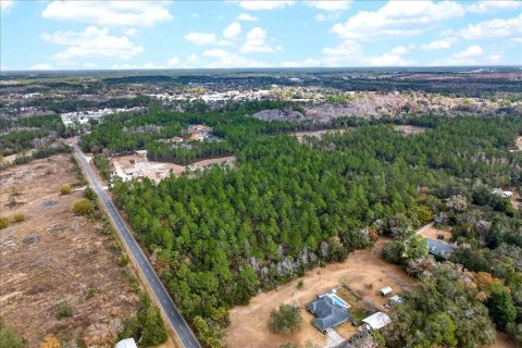 Terreno en venta en Bunnell, Florida № 2109044 - foto 5