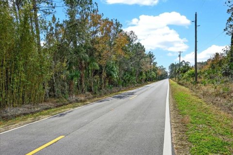 Terreno en venta en Bunnell, Florida № 2109044 - foto 9