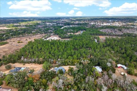 Terreno en venta en Bunnell, Florida № 2109044 - foto 8