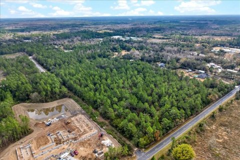 Land in Bunnell, Florida № 2109044