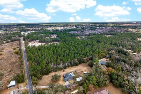 Terreno en venta en Bunnell, Florida № 2109044 - foto 17