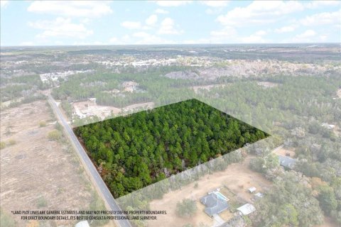 Terreno en venta en Bunnell, Florida № 2109044 - foto 6