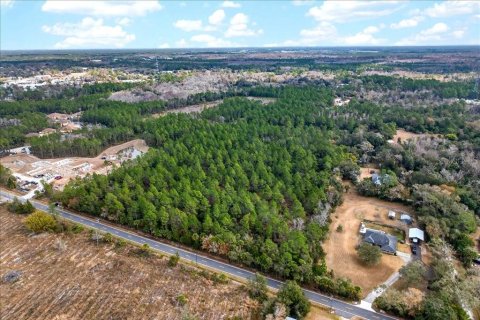 Terreno en venta en Bunnell, Florida № 2109044 - foto 7