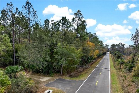 Terreno en venta en Bunnell, Florida № 2109044 - foto 10
