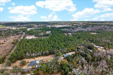 Terreno en venta en Bunnell, Florida № 2109044 - foto 19