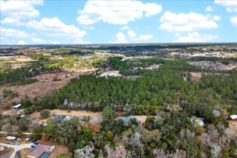 Terreno en venta en Bunnell, Florida № 2109044 - foto 20