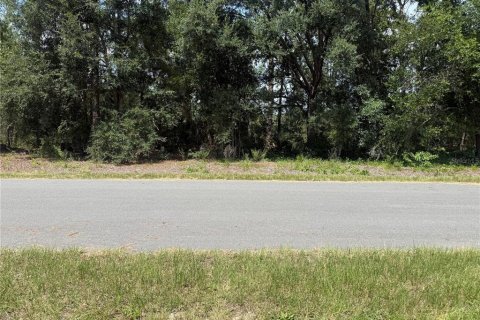 Land in Ocala, Florida № 2203447