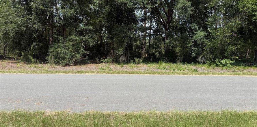 Terrain à Ocala, Floride № 2203447