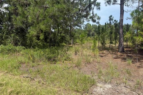 Terrain à vendre à Ocala, Floride № 2203447 - photo 2