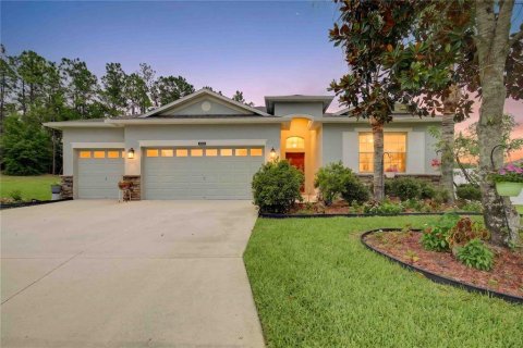 Casa en Mount Dora, Florida 3 dormitorios, 231.79 m2 № 2107786