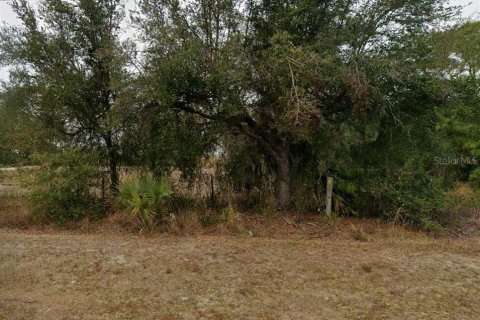 Terrain à vendre à Punta Gorda, Floride № 2205377 - photo 5