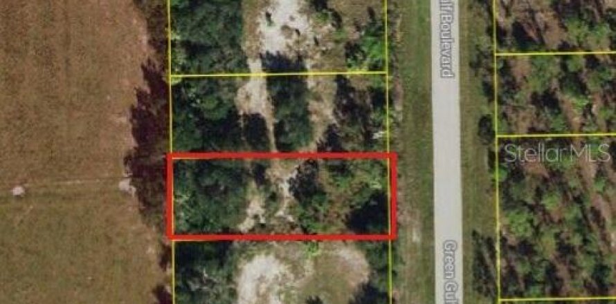 Terrain à Punta Gorda, Floride № 2205377