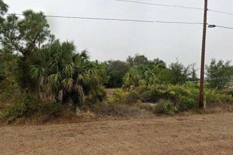 Terrain à vendre à Punta Gorda, Floride № 2205377 - photo 6