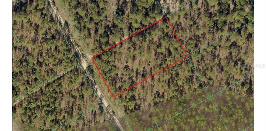 Terreno en Ocala, Florida № 1908097