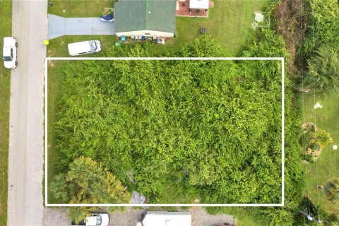 Land in Port Charlotte, Florida № 2205811 - photo 4