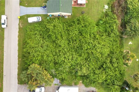 Land in Port Charlotte, Florida № 2205811 - photo 7