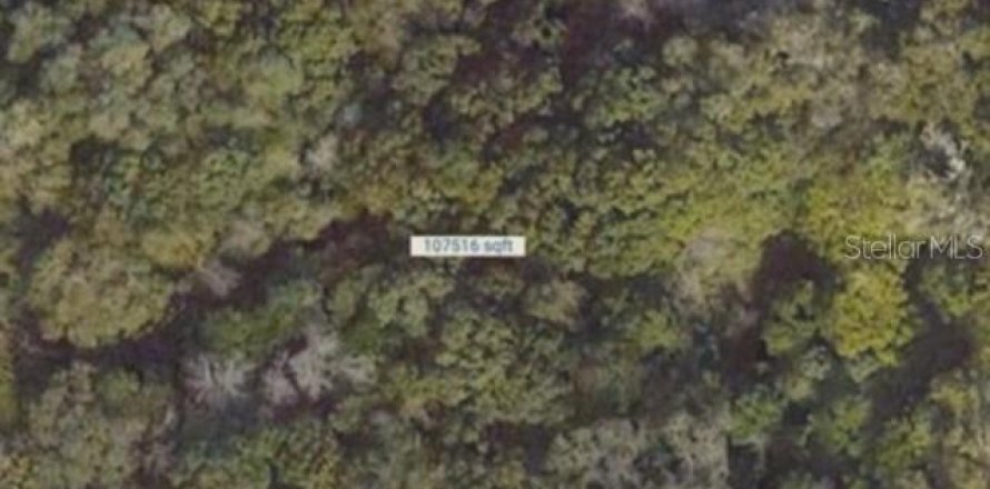 Terrain à DeLand, Floride № 1650425