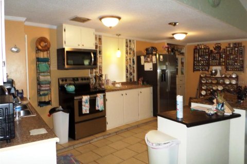 Propiedad comercial en venta en Yankeetown, Florida, 373.47 m2 № 2166222 - foto 10