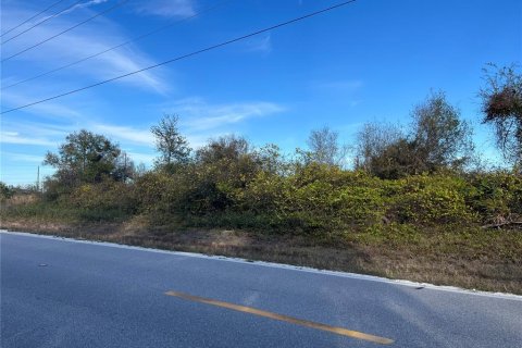 Terreno en venta en Punta Gorda, Florida № 2213482 - foto 4