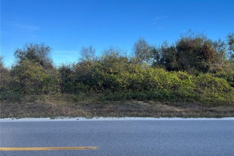 Terrain à Punta Gorda, Floride № 2213482