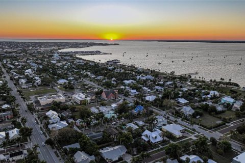 Terreno en venta en Punta Gorda, Florida № 2213482 - foto 13