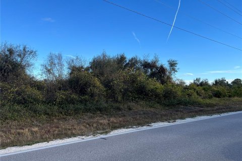 Terreno en venta en Punta Gorda, Florida № 2213482 - foto 3