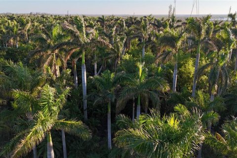 Terreno en venta en Bokeelia, Florida № 1555484 - foto 6