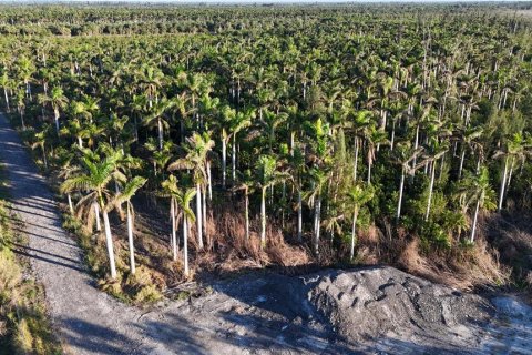 Terreno en venta en Bokeelia, Florida № 1555484 - foto 1