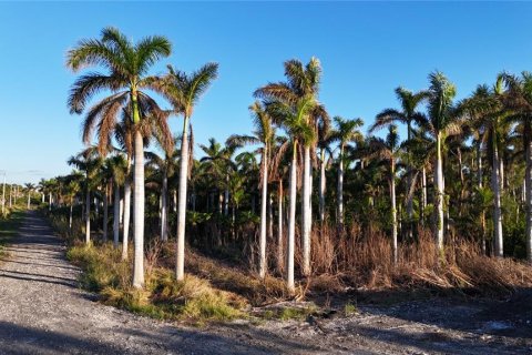 Terreno en venta en Bokeelia, Florida № 1555484 - foto 2