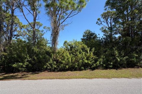 Land in Port Charlotte, Florida № 2211026