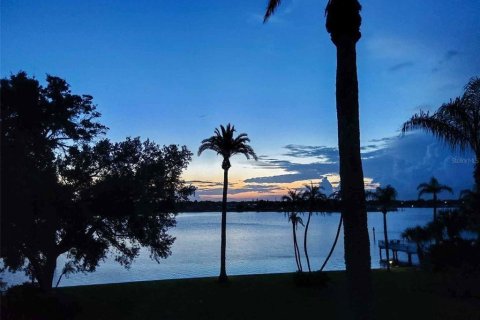 Copropriété à vendre à South Pasadena, Floride: 2 chambres, 118.36 m2 № 1517743 - photo 23