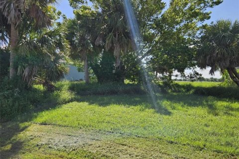 Land in Punta Gorda, Florida № 2162954 - photo 2