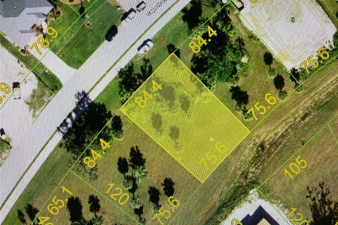 Land in Punta Gorda, Florida № 2162954 - photo 5