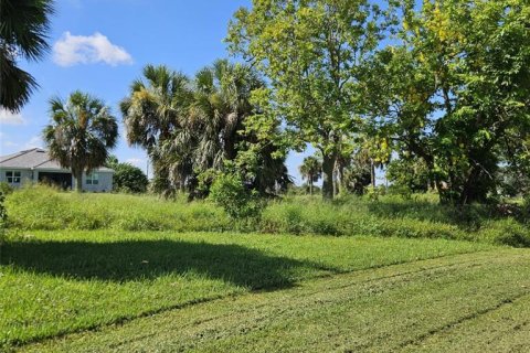 Land in Punta Gorda, Florida № 2162954 - photo 3