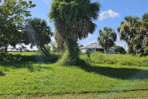 Land in Punta Gorda, Florida № 2162954