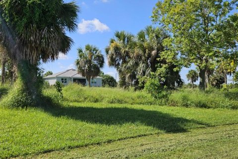 Land in Punta Gorda, Florida № 2162954 - photo 4