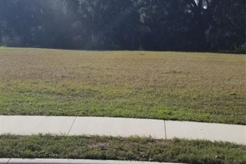Terreno en venta en Gainesville, Florida № 1063720 - foto 1