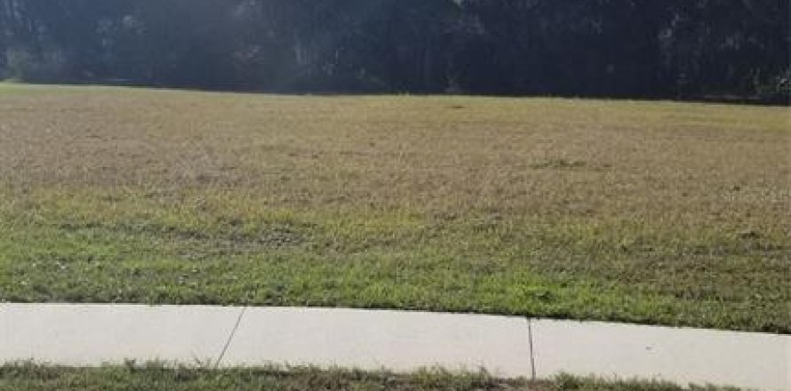 Terreno en Gainesville, Florida № 1063720