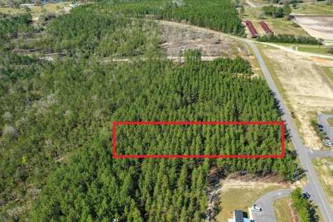 Land in De Funiak Springs, Florida № 558296 - photo 1