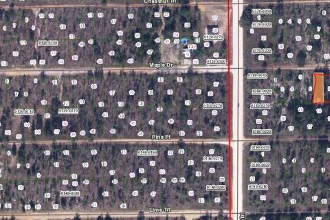Land in Interlachen, Florida № 2165292 - photo 2