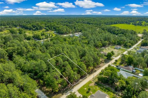 Land in Ocala, Florida № 2199204