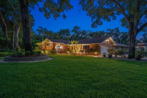 House in Palm Harbor, Florida 3 bedrooms, 349.87 sq.m. № 2229258 - photo 12