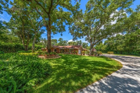 House in Palm Harbor, Florida 3 bedrooms, 349.87 sq.m. № 2229258 - photo 7