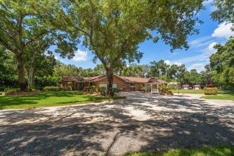 House in Palm Harbor, Florida 3 bedrooms, 349.87 sq.m. № 2229258 - photo 8