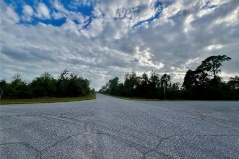 Land in Port Charlotte, Florida № 2160115 - photo 4