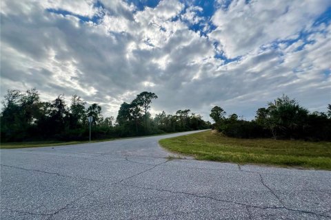 Land in Port Charlotte, Florida № 2160115 - photo 3