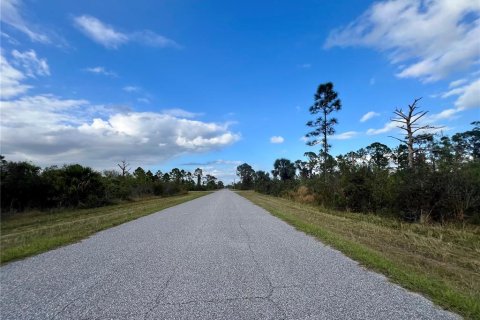 Land in Port Charlotte, Florida № 2160115 - photo 2