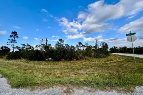 Land in Port Charlotte, Florida № 2160115